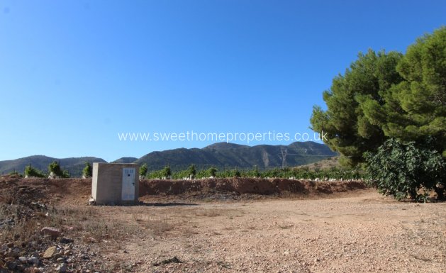 Resale - Plot - La Romana - PARTIDA DE LA BOQUERA