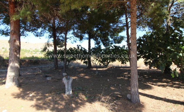 Resale - Plot - La Romana - PARTIDA DE LA BOQUERA