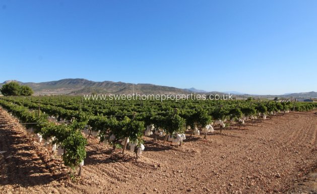 Resale - Plot - La Romana - PARTIDA DE LA BOQUERA