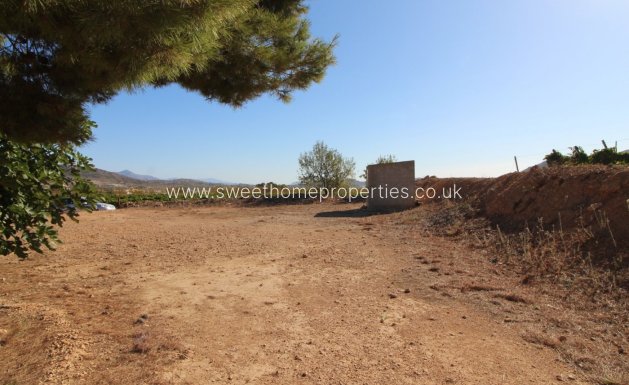 Resale - Plot - La Romana - PARTIDA DE LA BOQUERA