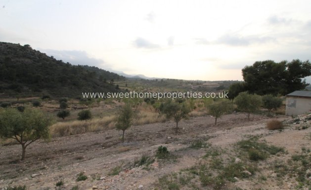 Resale - Country house - Jumilla - ZARZA