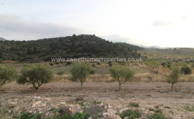 Resale - Country house - Jumilla - ZARZA