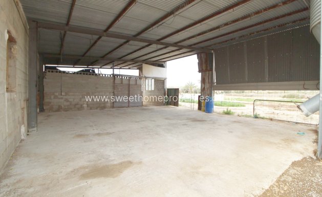 Resale - Country house - Aspe