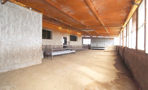 Resale - Country house - Aspe