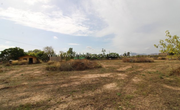 Resale - Plot - Novelda - CAMPET