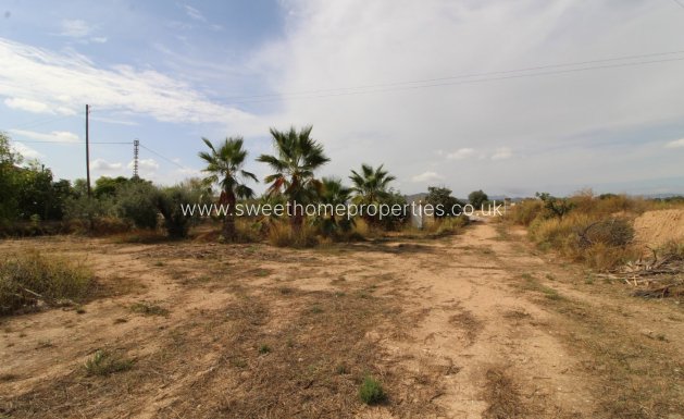 Resale - Plot - Novelda - CAMPET