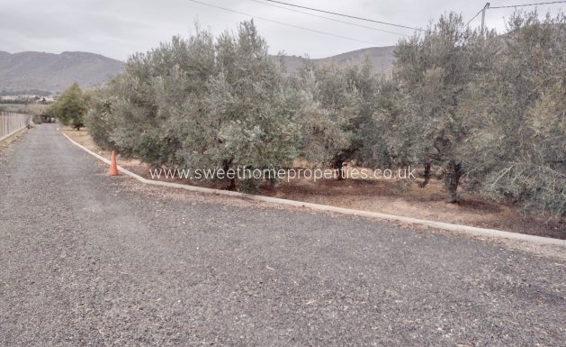 Resale - Town house - Hondon De Las Nieves - ALGUASTA