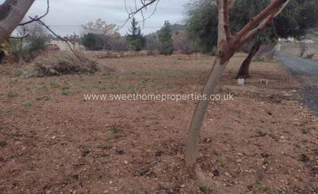 Resale - Town house - Hondon De Las Nieves - ALGUASTA