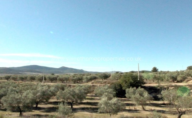 Resale - Plot - Hondon De Las Nieves - La solana