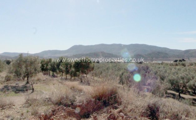 Resale - Plot - Hondon De Las Nieves - La solana