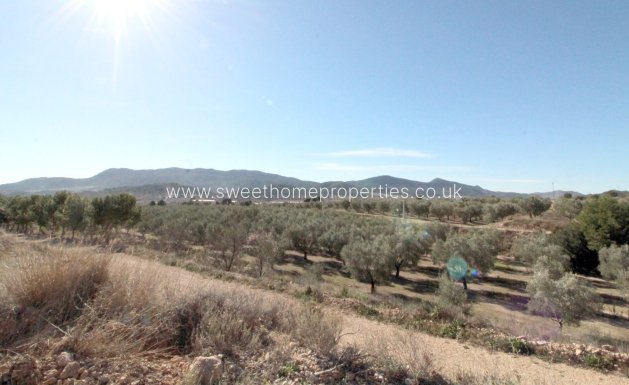 Resale - Plot - Hondon De Las Nieves - La solana