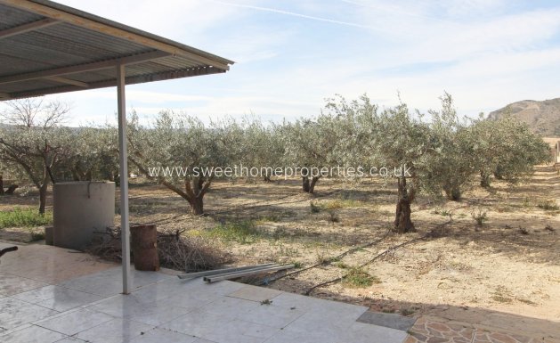 Resale - Country house - La Romana - ALCANA