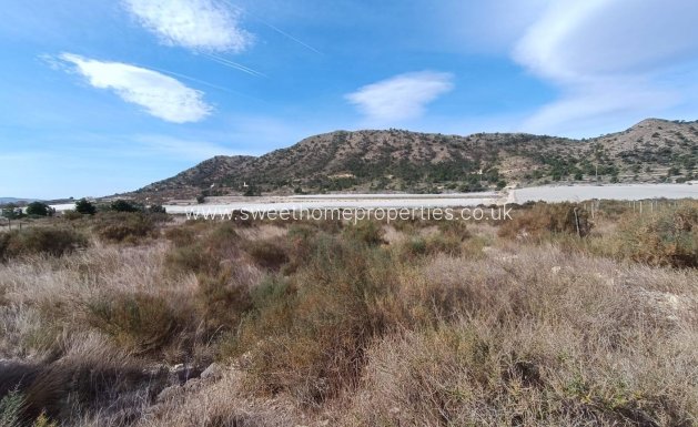 Resale - Plot - Novelda - SERRETA