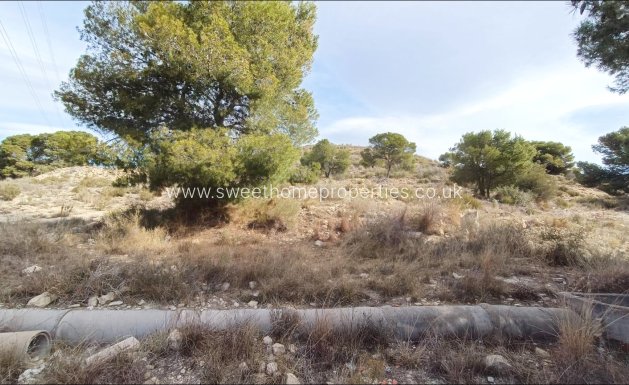 Resale - Plot - Novelda - SERRETA