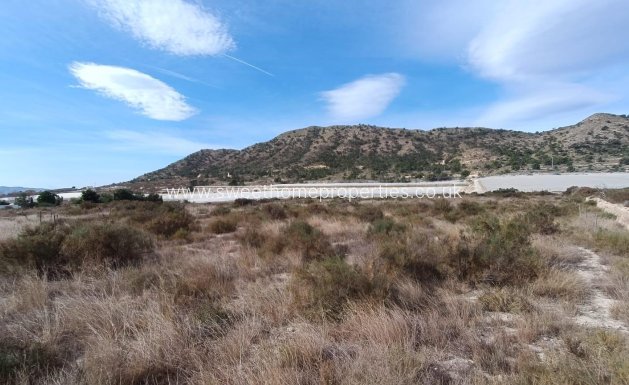 Resale - Plot - Novelda - SERRETA