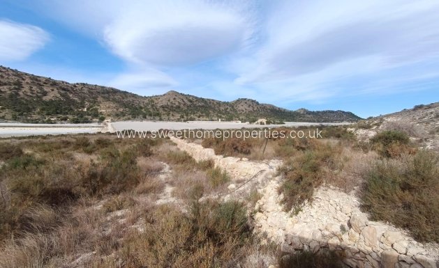 Resale - Plot - Novelda - SERRETA