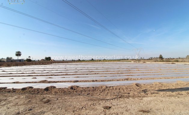 Resale - Country house - Elche - La Hoya