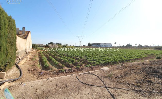 Resale - Country house - Elche - La Hoya