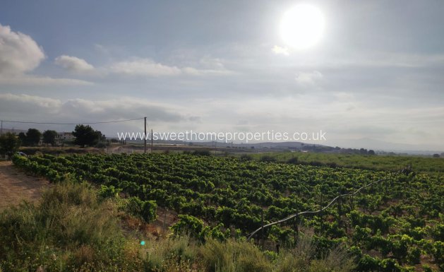 Resale - Plot - Novelda - CENTRO