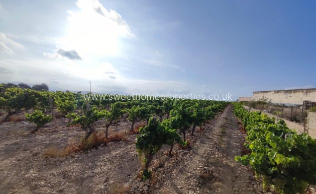 Resale - Plot - Novelda - CENTRO