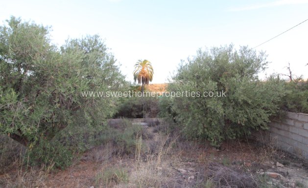 Herverkoop - Country house - Elche