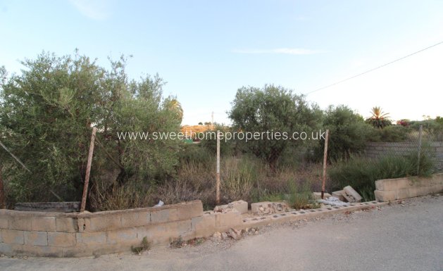 Herverkoop - Country house - Elche