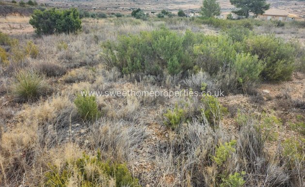 Resale - Plot - La Romana - A diez minutos