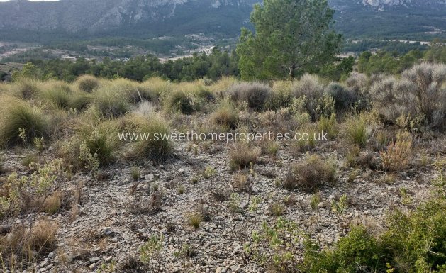 Resale - Plot - La Romana - A diez minutos