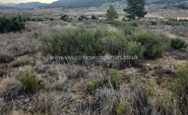 Resale - Plot - La Romana - A diez minutos