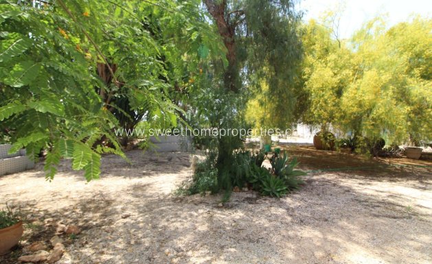 Resale - Country house - Elche