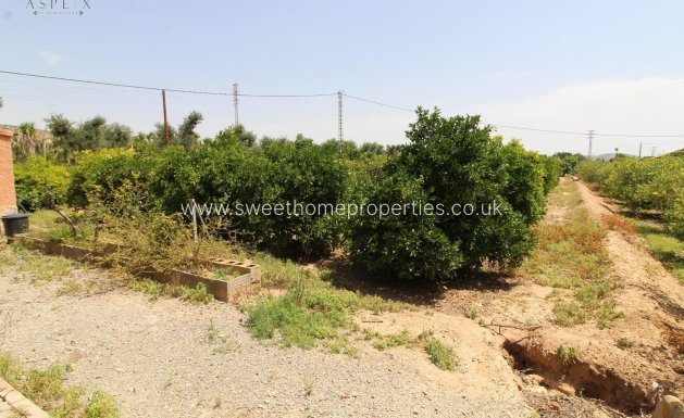 Resale - Country house - Elche