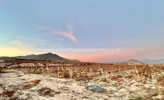 Resale - Plot - Novelda - BETIES