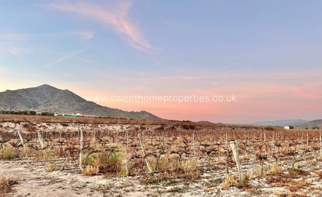 Resale - Plot - Novelda - BETIES