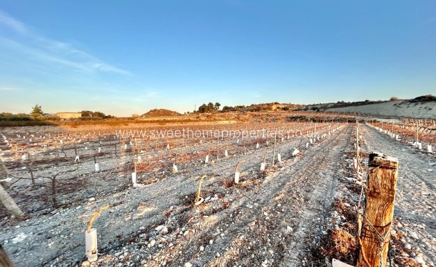 Resale - Plot - Novelda - BETIES