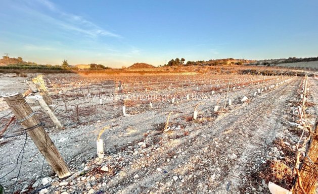 Resale - Plot - Novelda - BETIES