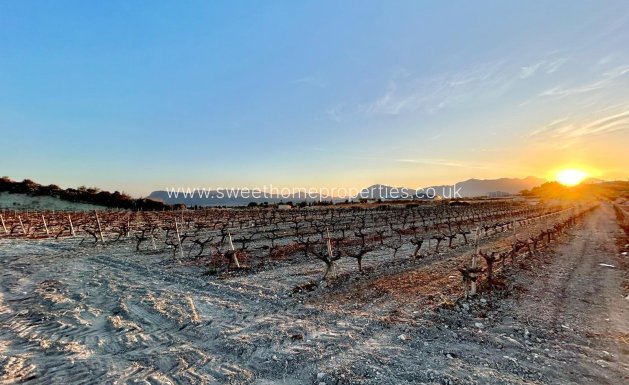 Resale - Plot - Novelda - BETIES