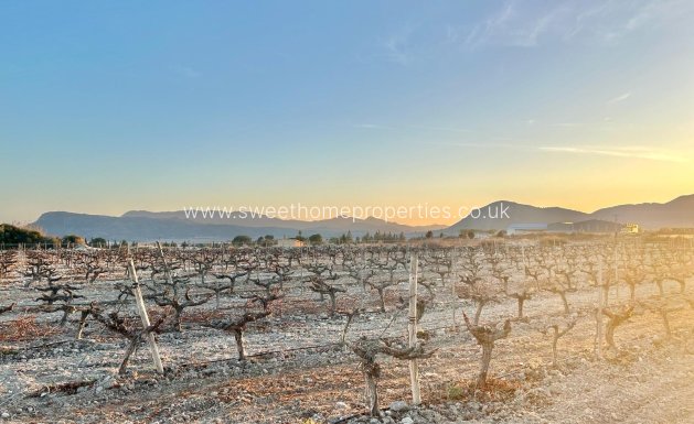 Resale - Plot - Novelda - BETIES