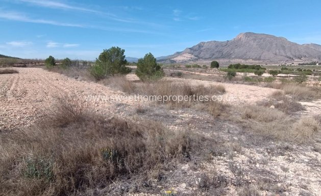 Resale - Cave house - Orihuela - Torremendo