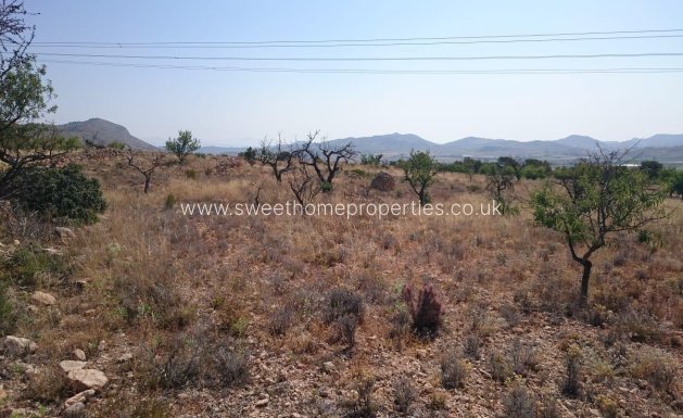 Resale - Plot - Hondon De Las Nieves - LA CANALOSA