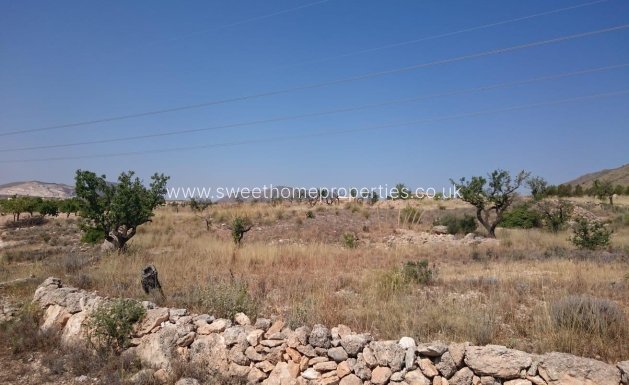 Resale - Plot - Hondon De Las Nieves - LA CANALOSA