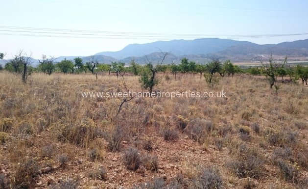 Resale - Plot - Hondon De Las Nieves - LA CANALOSA