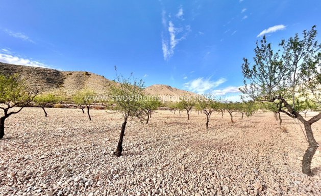Resale - Plot - Orihuela - Barbarroja