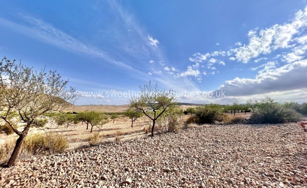 Resale - Plot - Orihuela - Barbarroja