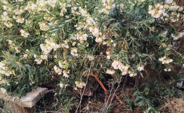 Resale - Town house - Pinoso - Casco urbano