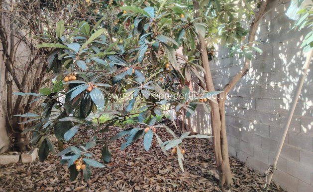 Resale - Town house - Pinoso - Casco urbano