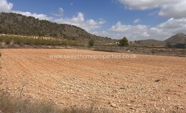 Resale - Plot - Jumilla - JUMILLA RURAL