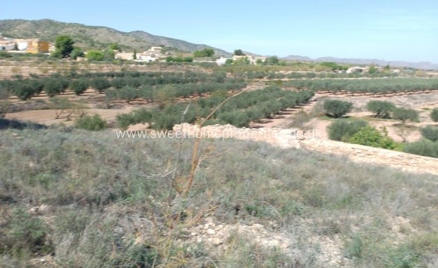 Resale - Cave house - Yecla - Raspay