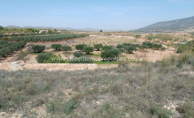 Resale - Cave house - Yecla - Raspay