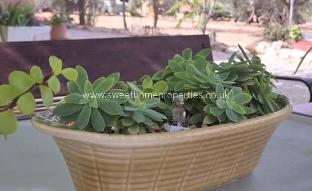 Resale - Country house - Hondon De Los Frailes