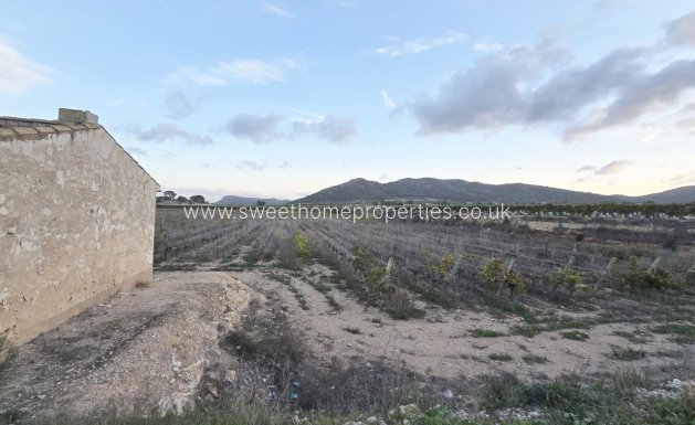 Resale - Plot - La Romana - Los joveres